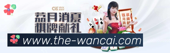 未来规划